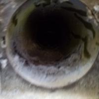 Lint coating the inside of a dryer vent.